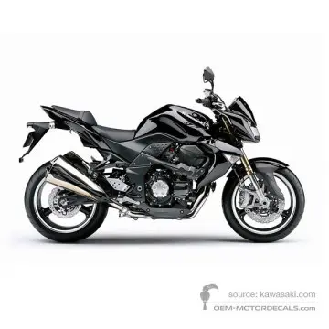 Kawasaki Z1000 | ZR1000 2009