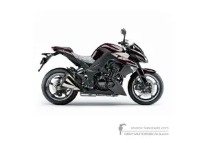 Stickers voor Kawasaki Z1000 2010 - Bruin • Kawasaki OEM Stickers