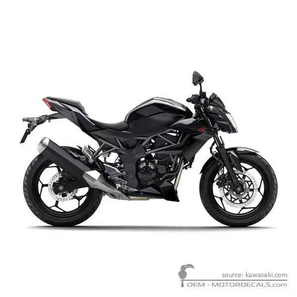 Kawasaki Z250SL | BR250 2015 - Ebony