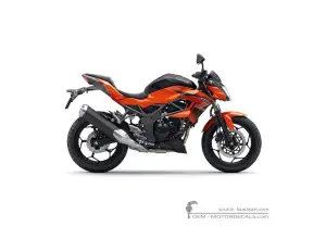 Decals for Kawasaki Z250SL | BR250 2016 • Kawasaki OEM Decals