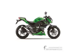 Decals for Kawasaki Z300 2015 - Green • Kawasaki OEM Decals