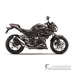 Kawasaki Z300 2015 - Grau