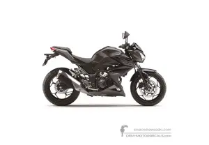 Pegatinas para Kawasaki Z300 2015 - Gris • Kawasaki Pegatinas OEM