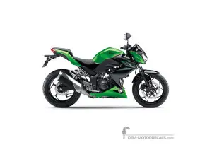 Pegatinas para Kawasaki Z300 2016 - Verde • Kawasaki Pegatinas OEM