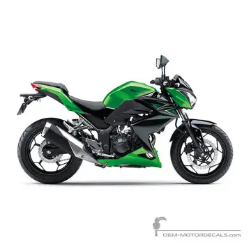 Kawasaki Z300 2016 - Zielony - Candy Flat Blazed Green