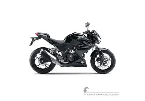 Decals for Kawasaki Z300 2016 - Black • Kawasaki OEM Decals