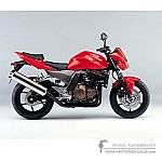 Kawasaki Z750 2004 - Rot