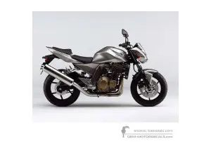 Decals for Kawasaki Z750 2005 - Silver • Kawasaki OEM Decals