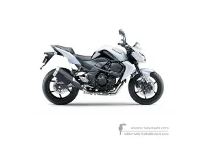 Decals for Kawasaki Z750 2010 - White • Kawasaki OEM Decals