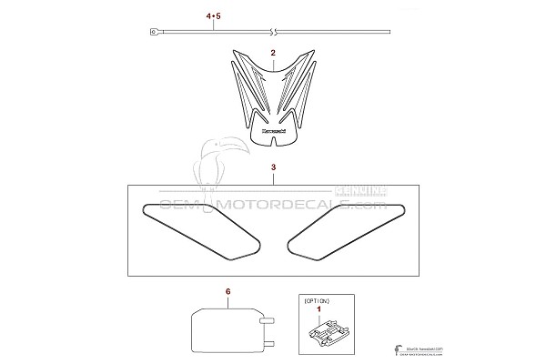 Kawasaki Z900 | ZR900 2025 - Pegatinas Opcionales