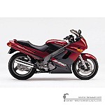 Kawasaki ZZ-R250 | EX250 1999