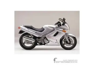 Decals for Kawasaki ZZ-R250 | EX250 2002 • Kawasaki OEM Decals