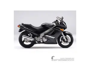 Decals for Kawasaki ZZ-R250 | EX250 2004 • Kawasaki OEM Decals