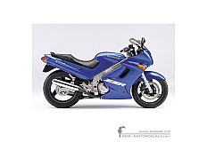 Autocollants pour Kawasaki ZZ-R250 | EX250 2006 • Kawasaki Autocollants OEM
