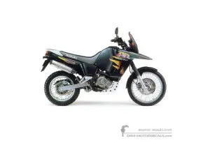 Decals for Suzuki DR800S BIG 1996 - Green • Suzuki OEM Decals