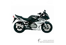 Adesivi per Suzuki GS500F 2006 - Nero • Suzuki Adesivi OEM