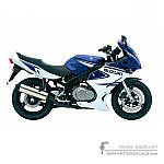 Suzuki GS500F 2006 - Blauw