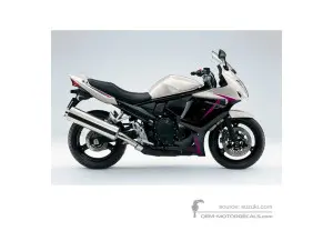 Decals for Suzuki GSX650F 2010 - White • Suzuki OEM Decals