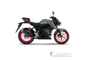 Autocollants pour Suzuki GSXS125 2020 - Gris • Suzuki Autocollants OEM