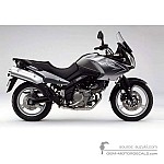 Suzuki DL650 VSTROM 2009 - Gray