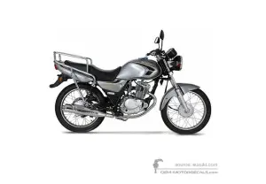 Stickers voor Suzuki EN125 2007 - Grijs • Suzuki OEM Stickers