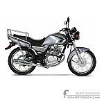 Suzuki EN125 2008 - Gray