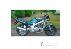 Adesivi per Suzuki GS500E 1999 - Verde • Suzuki Adesivi OEM