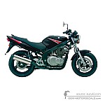 Suzuki GS500E 2005 - Black