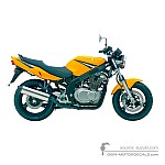 Suzuki GS500E 2005 - Yellow