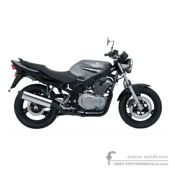 Suzuki GS500E 2007