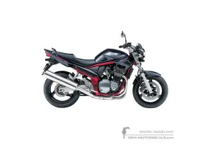 Autocollants pour Suzuki GSF1200N BANDIT 2006 - Gris • Suzuki Autocollants OEM