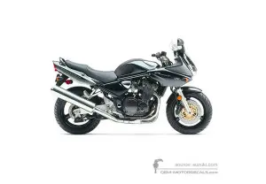 Autocollants pour Suzuki GSF1200S BANDIT 2004 - Gris • Suzuki Autocollants OEM
