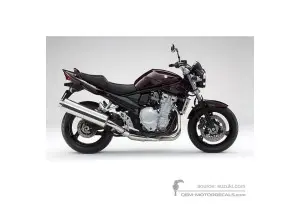 Decals for Suzuki GSF1250N BANDIT 2009 - Red • Suzuki OEM Decals