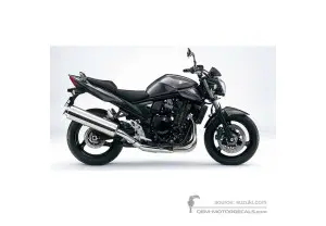 Decals for Suzuki GSF1250N BANDIT 2010 - Gray • Suzuki OEM Decals