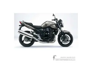 Stickers voor Suzuki GSF1250N BANDIT 2010 - Grijs • Suzuki OEM Stickers