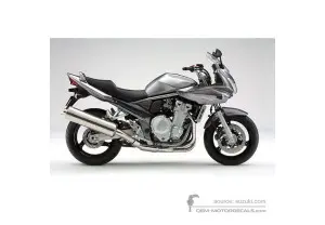 Decals for Suzuki GSF1250S BANDIT 2008 - Silver • Suzuki OEM Decals