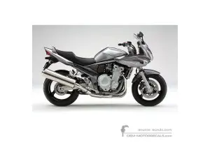 Autocollants pour Suzuki GSF1250S BANDIT 2009 - Argent • Suzuki Autocollants OEM