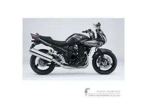 Stickers voor Suzuki GSF1250S BANDIT 2010 - Grijs • Suzuki OEM Stickers