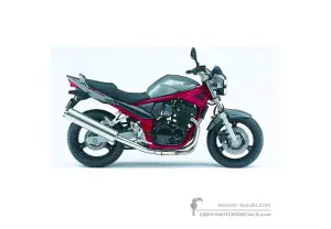 Decals for Suzuki GSF650N BANDIT 2006 - Gray • Suzuki OEM Decals