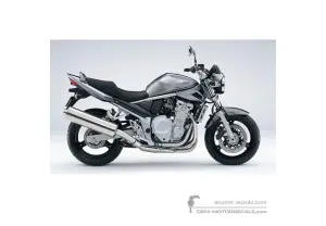 Pegatinas para Suzuki GSF650N BANDIT 2008 - Gris • Suzuki Pegatinas OEM