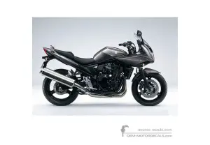 Decals for Suzuki GSF650S BANDIT 2009 - Gray • Suzuki OEM Decals