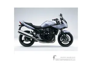 Decals for Suzuki GSF650S BANDIT 2009 - Blue • Suzuki OEM Decals