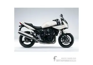 Pegatinas para Suzuki GSF650S BANDIT 2011 - Blanco • Suzuki Pegatinas OEM