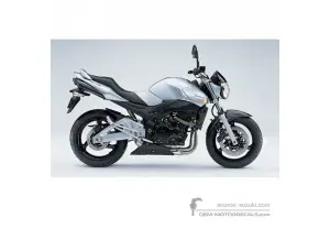 Decals for Suzuki GSR600 2008 - Silver • Suzuki OEM Decals