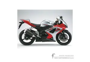 Decals for Suzuki GSXR1000 2007 - Silver • Suzuki OEM Decals