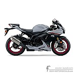 Suzuki GSXR750 2023 - Grau