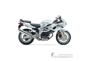 Adesivi per Suzuki SV650S 2002 - Argento • Suzuki Adesivi OEM