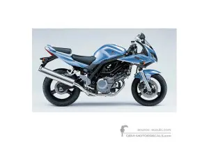 Adesivi per Suzuki SV650S 2006 - Argento • Suzuki Adesivi OEM