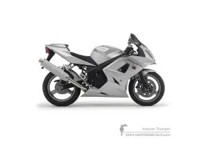 Autocollants pour Triumph DAYTONA 600 2003 - Argent • Triumph Autocollants OEM