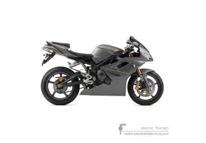 Pegatinas para Triumph DAYTONA 675 2007 - Gris • Triumph Pegatinas OEM